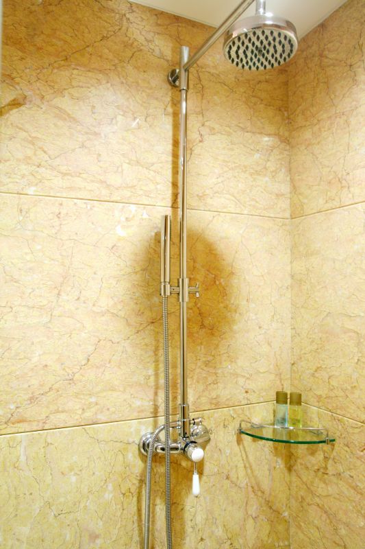 Elegant Shower Features
